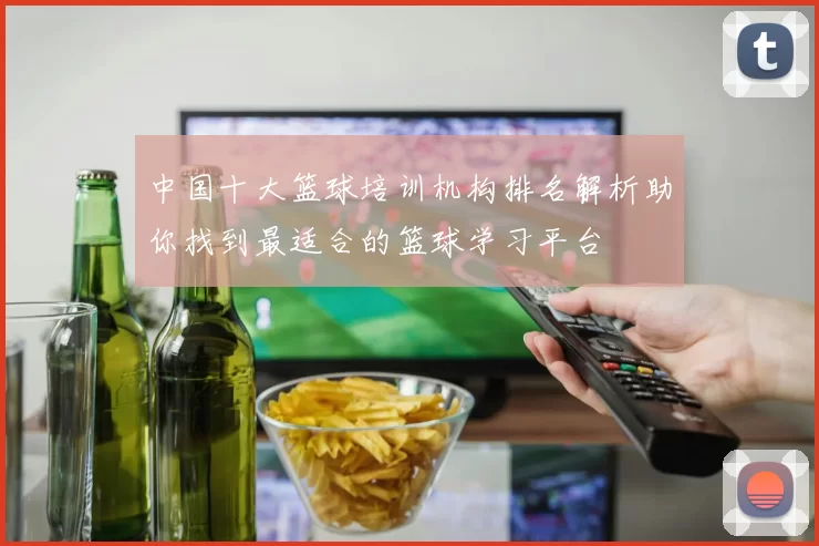 中国十大篮球培训机构排名解析助你找到最适合的篮球学习平台