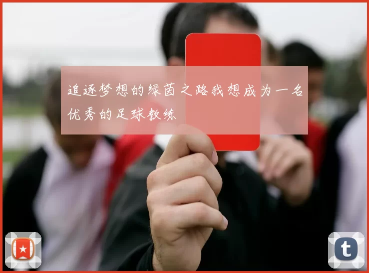 追逐梦想的绿茵之路我想成为一名优秀的足球教练