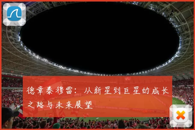 德章泰穆雷：从新星到巨星的成长之路与未来展望